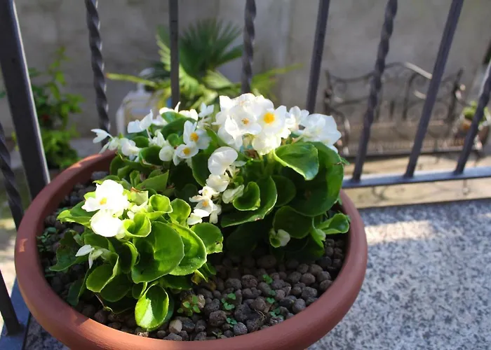 بيت للعطل Casa All'era *