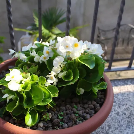 Prázdninový dům Casa All'era *