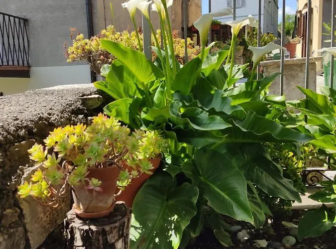 Casa All'era Cernobbio